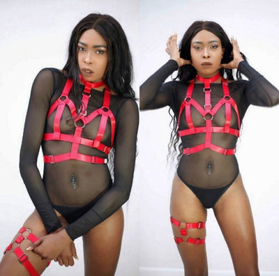 red collar harness and UFO garter profesional pic