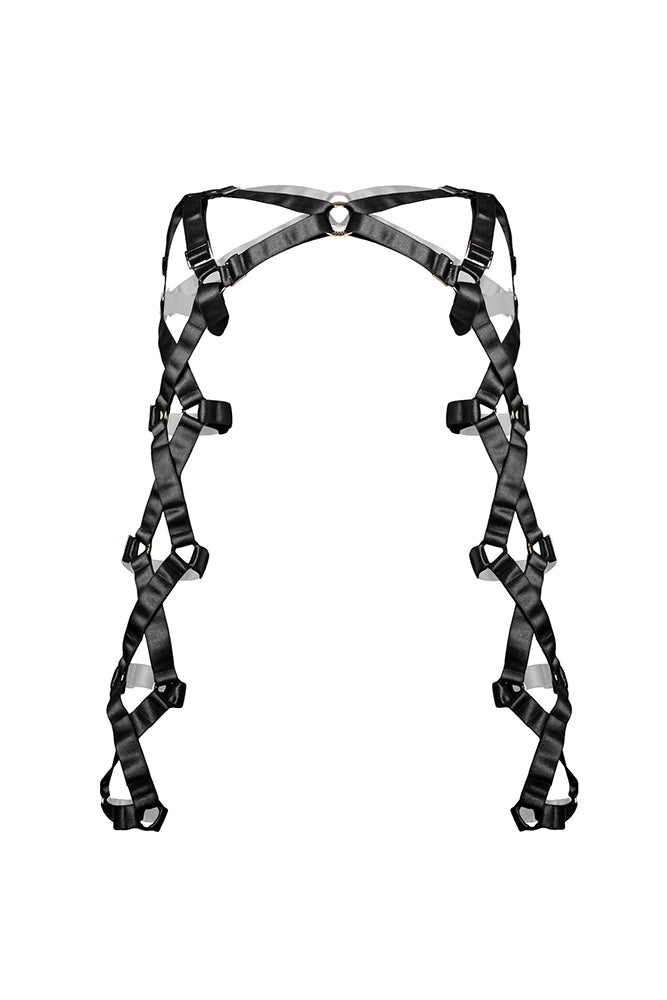 crucifixion arm harness front