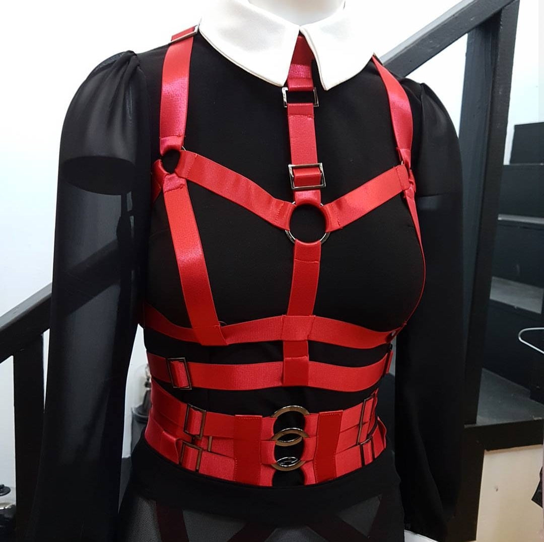 red collar harness manniquin